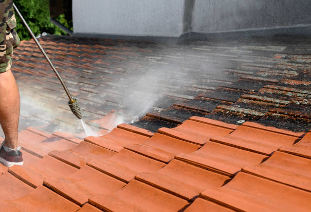 Best Roof Pressure Washing  in Orland Park, IL