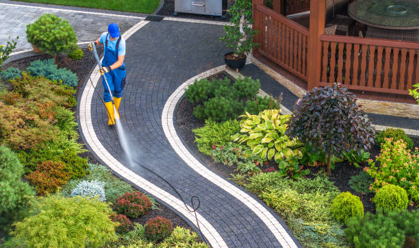 Best Concrete Pressure Washing  in Orland Park, IL